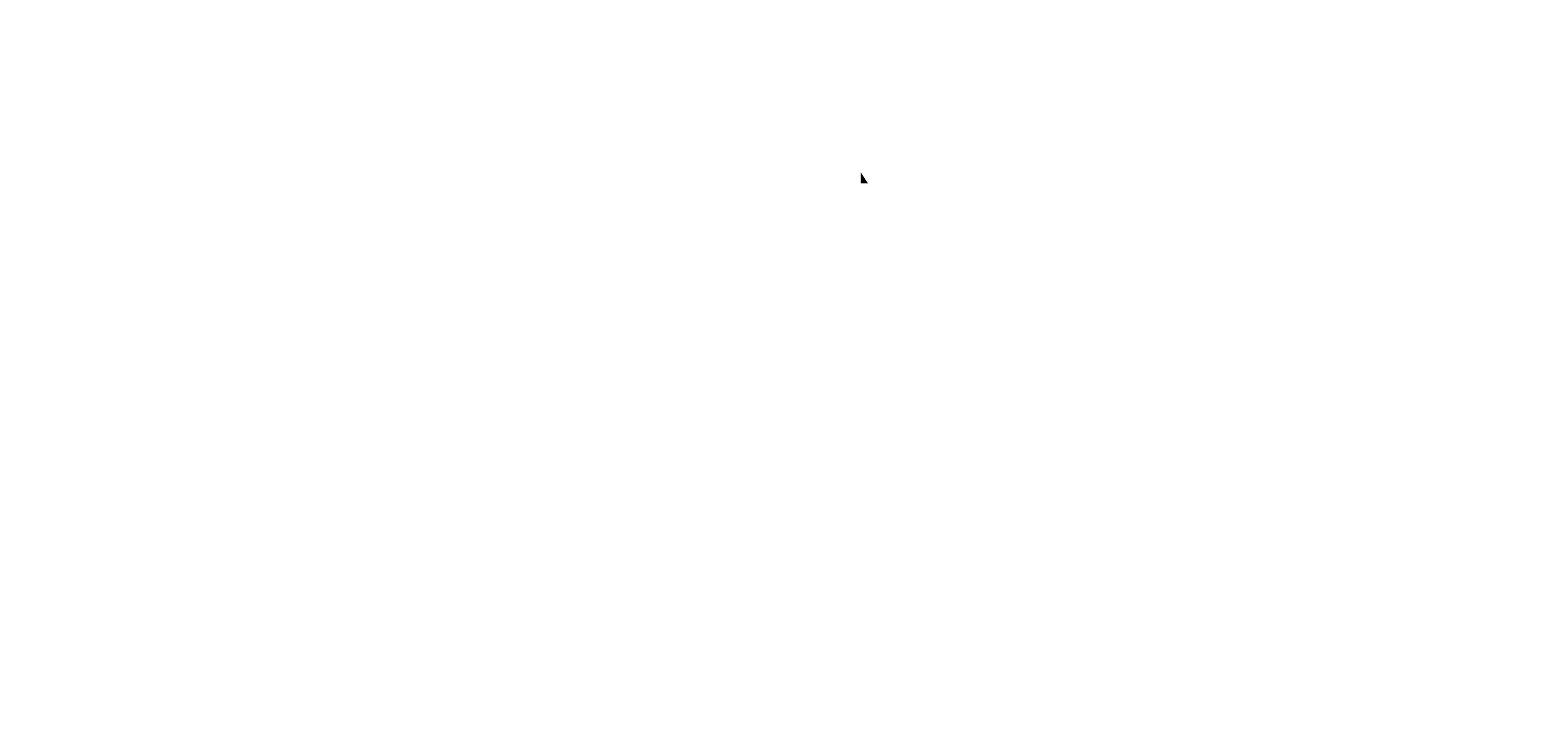 סטודיו רוני